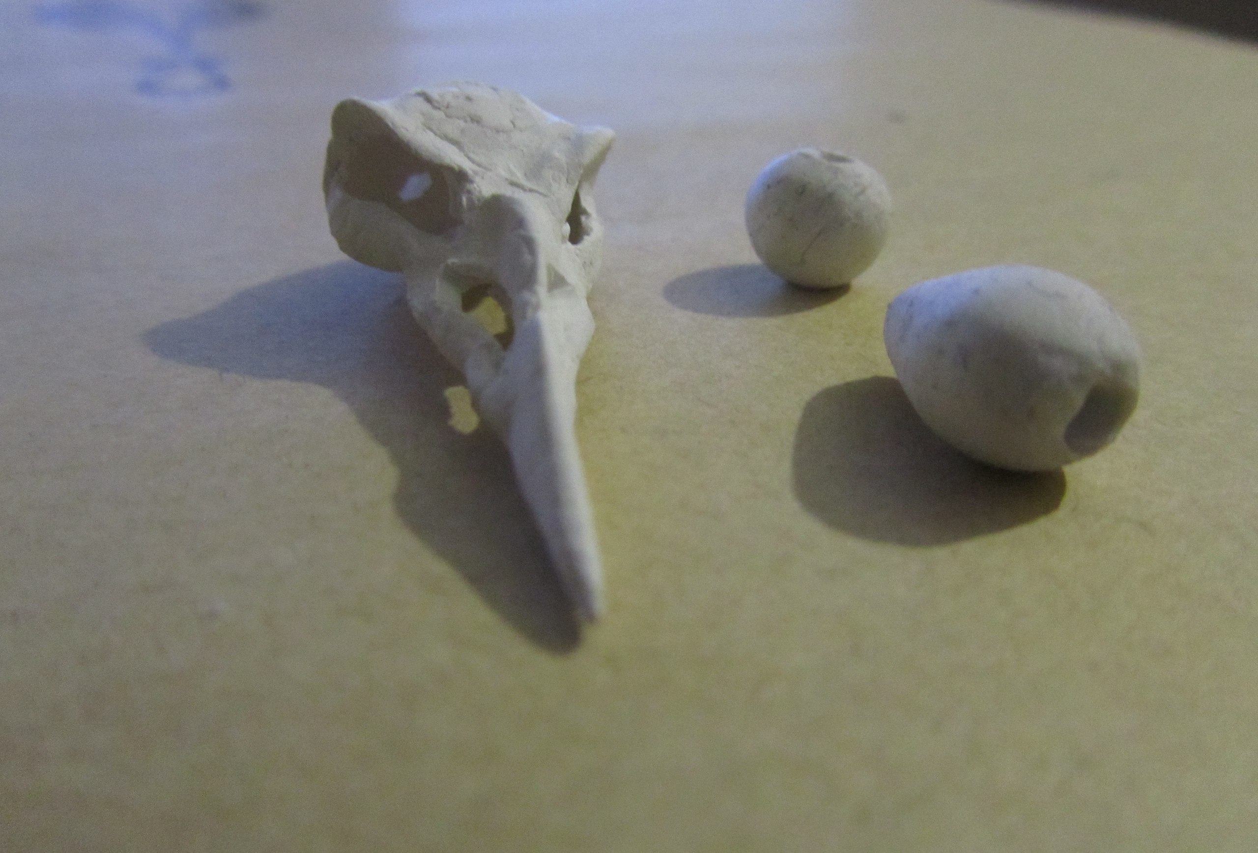 Птичий череп и бусины из полимерной глины