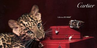 Кошачьи выкрутасы Cartier