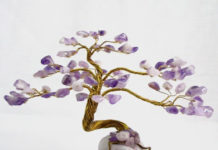 Счастье в листве дерева